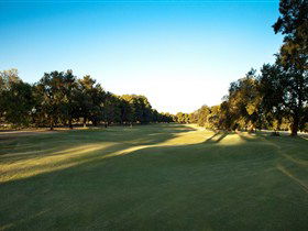 Loxton Golf Club - Accommodation Cairns 2