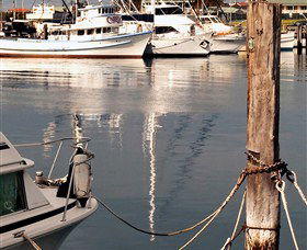 Bermagui Country Club - Accommodation Cairns 4