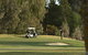 Barossa Valley Golf Club Incorporated - thumb 0