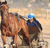 Ballarat  District Trotting Club - Accommodation Cairns