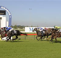 Kembla Grange Racecourse - Illawarra Turf Club - Accommodation Cairns