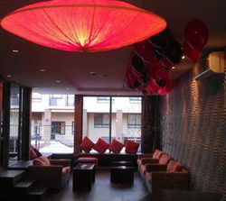 Pyrmont Point Hotel - Accommodation Cairns 1