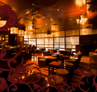 Hippo Lounge Bar - Accommodation Cairns