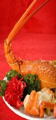 Marigold - Accommodation Cairns 0