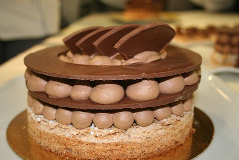 Jaune - Accommodation Cairns 1