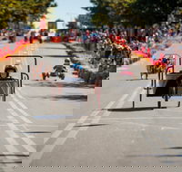 Australian Billy Cart Championships - Accommodation Cairns
