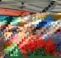 Ballina Missingham Farmers Market - Accommodation Cairns