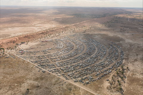 Birdsville Big Red Bash - Accommodation Cairns 1
