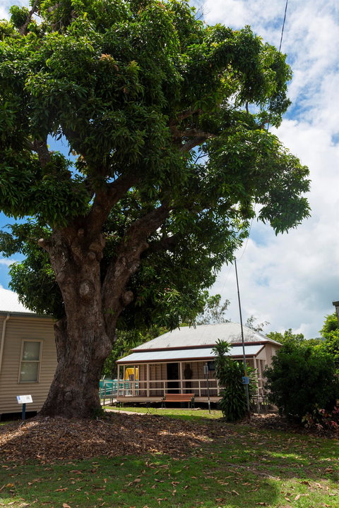 Cardwell Pioneers Tour - Accommodation Cairns 1