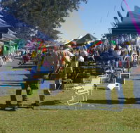 Casino Golf Club Markets - Accommodation Cairns