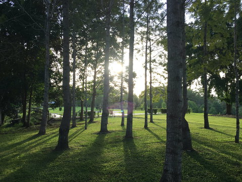 Celebration Outing Special - Accommodation Cairns 0