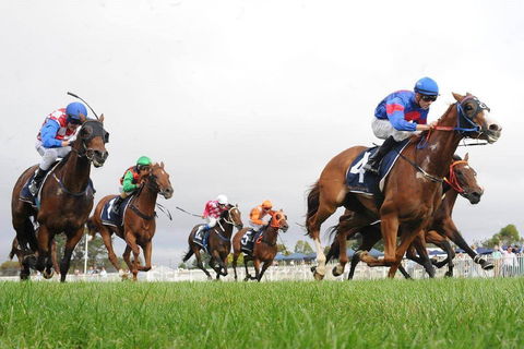 Christmas Cup Race Day - Accommodation Cairns 0