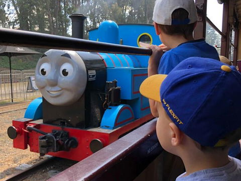 Day Out With Thomas At Puffing Billy - Accommodation Cairns 1