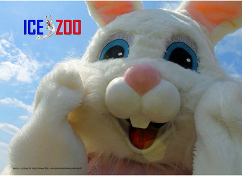 Easter Egg-stravaganza - Accommodation Cairns 0
