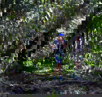 Elephant Trail Race - Accommodation Cairns