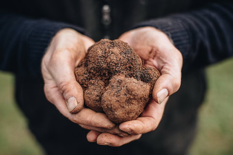 Feast And Forage - Craig's Royal Hotel - Accommodation Cairns 0