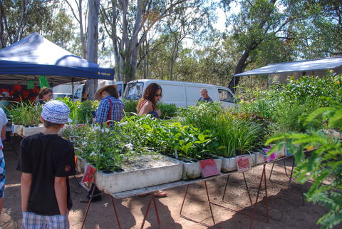 Fernvale Country Markets - Accommodation Cairns 1