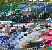 Festival in the Park - Accommodation Cairns