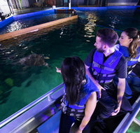 Glass Bottom Boat Tour - Accommodation Cairns