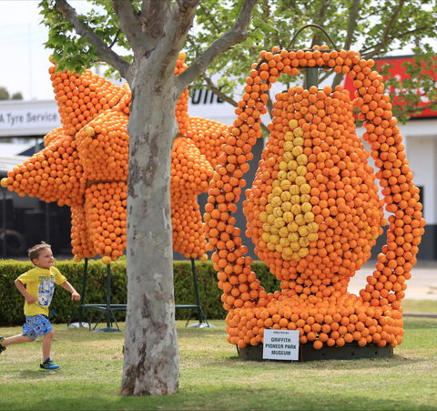Griffith Spring Fest - Accommodation Cairns 1