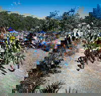 JetBlack Wild Wombat MTB Challenge - Accommodation Cairns