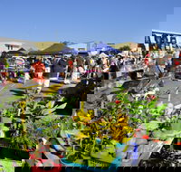 Maclean Community Monthly Markets - Accommodation Cairns