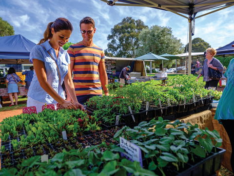 Margaret River Farmers Market - Accommodation Cairns 1