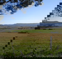 Milton Village Showground Markets - Accommodation Cairns