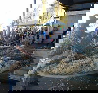 Narrabri Show - Accommodation Cairns