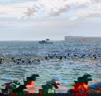 Nowra Toyota triHusky Huskisson Triathlon Festival Little Husky - Accommodation Cairns