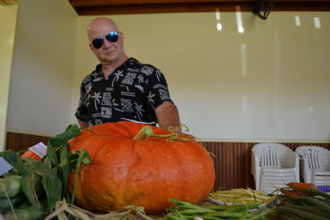 Pambula Show - Accommodation Cairns 1