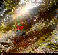 Run Dungog - Accommodation Cairns