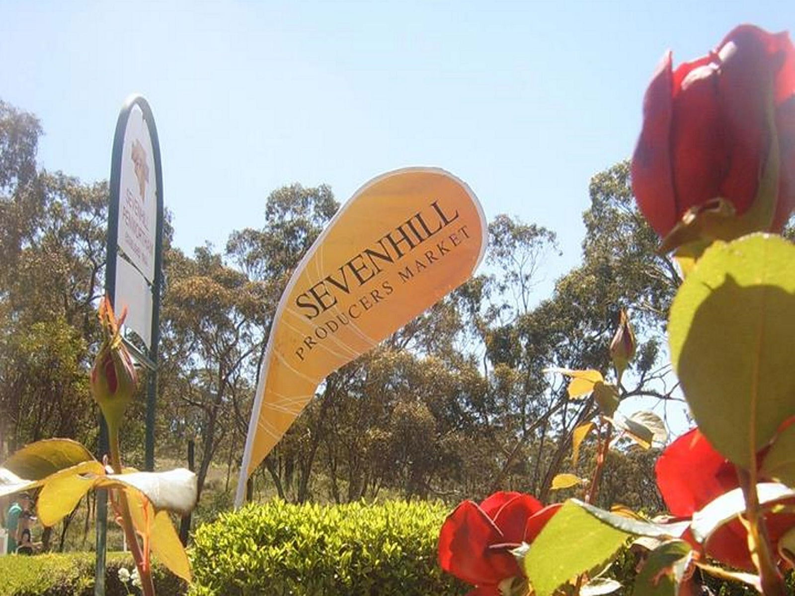 Sevenhill SA Accommodation Cairns
