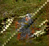 Sunshine Coast MTB Festival - Accommodation Cairns