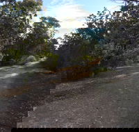 Victoria Park Moonta monthly walks - Accommodation Cairns