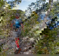 Wild Earth Coastal High 50 - Accommodation Cairns