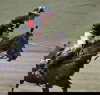 Wirragulla Annual Polo Tournament - Accommodation Cairns