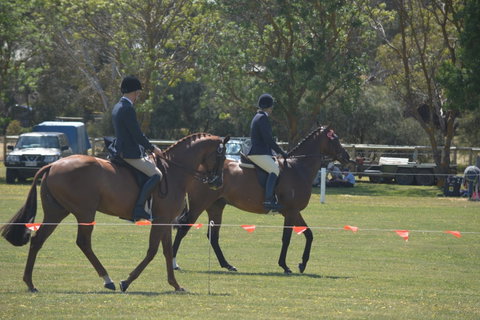 Yankalilla Show - Accommodation Cairns 2