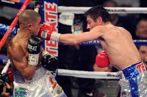 Australia Allstars Vs The World - Accommodation Cairns 1