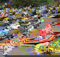 Australia Day Celebrations Gunnedah - Accommodation Cairns