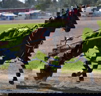 Forbes Show - Accommodation Cairns