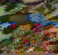 Glenrock Gardens Open Garden - Accommodation Cairns