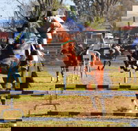 Glen Innes Pastoral and Agricultural Show - Accommodation Cairns