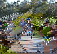 Husky Half Running Festival - Accommodation Cairns