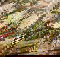 Introduction to Oils with Kim Grivas - Accommodation Cairns