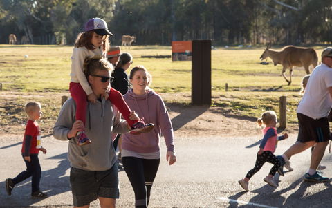 MAAS Group Dubbo Stampede Running Festival - Accommodation Cairns 1
