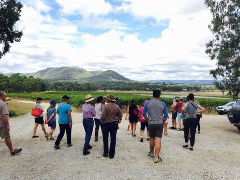 Mudgee Farm Walks - Accommodation Cairns 1
