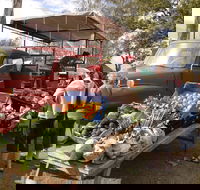 Murphys Creek Markets - Accommodation Cairns