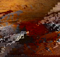 Naracoorte World Heritage Festival and Run - Accommodation Cairns