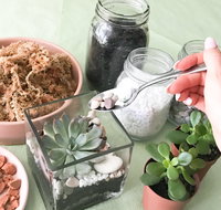 Online live streaming class Make Your Own Terrarium - Accommodation Cairns